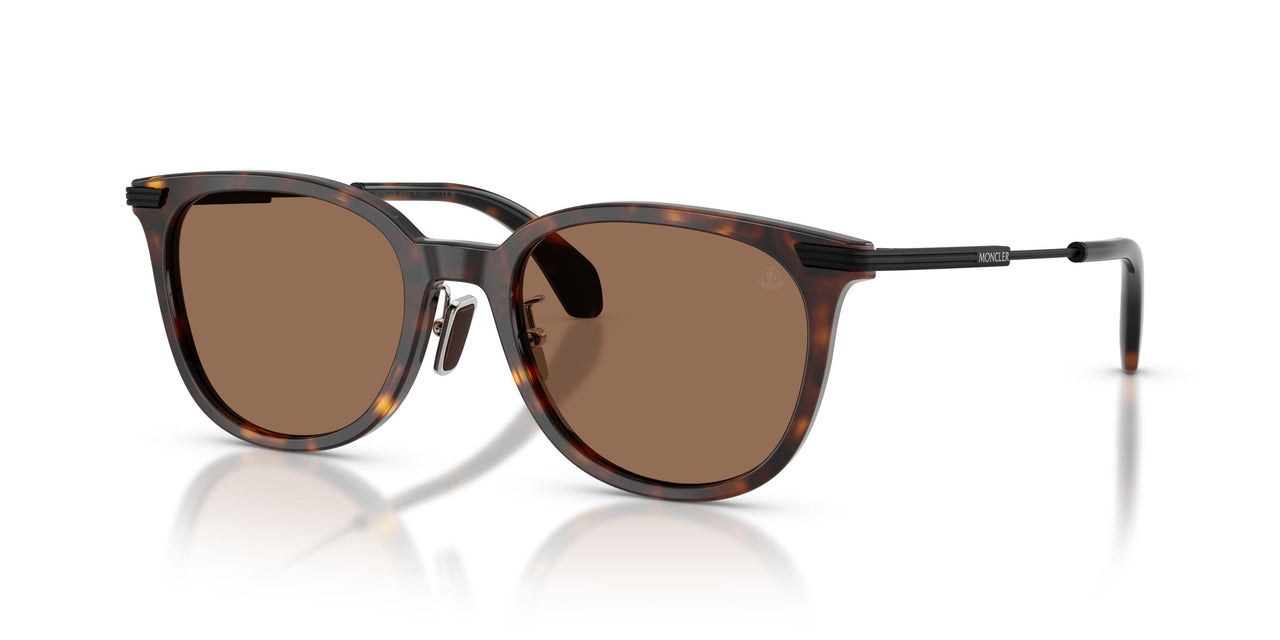 300273 - Tortoise - Solid Brown
