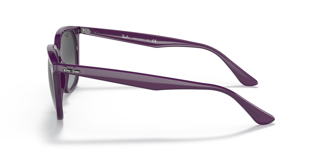 65718G - Violet - Gradient Grey