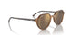 663693 - Brown - Brown Mirror Gold