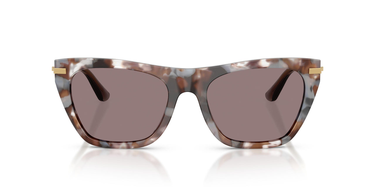 34457N - Tortoise - Dark Purple