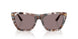34457N - Tortoise - Dark Purple