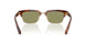 630214 - Brown - Green
