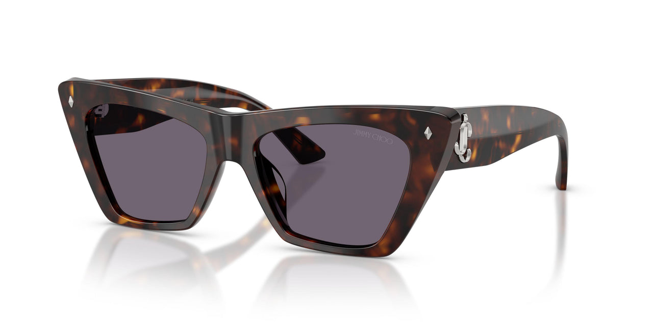 50021A - Tortoise - Violet