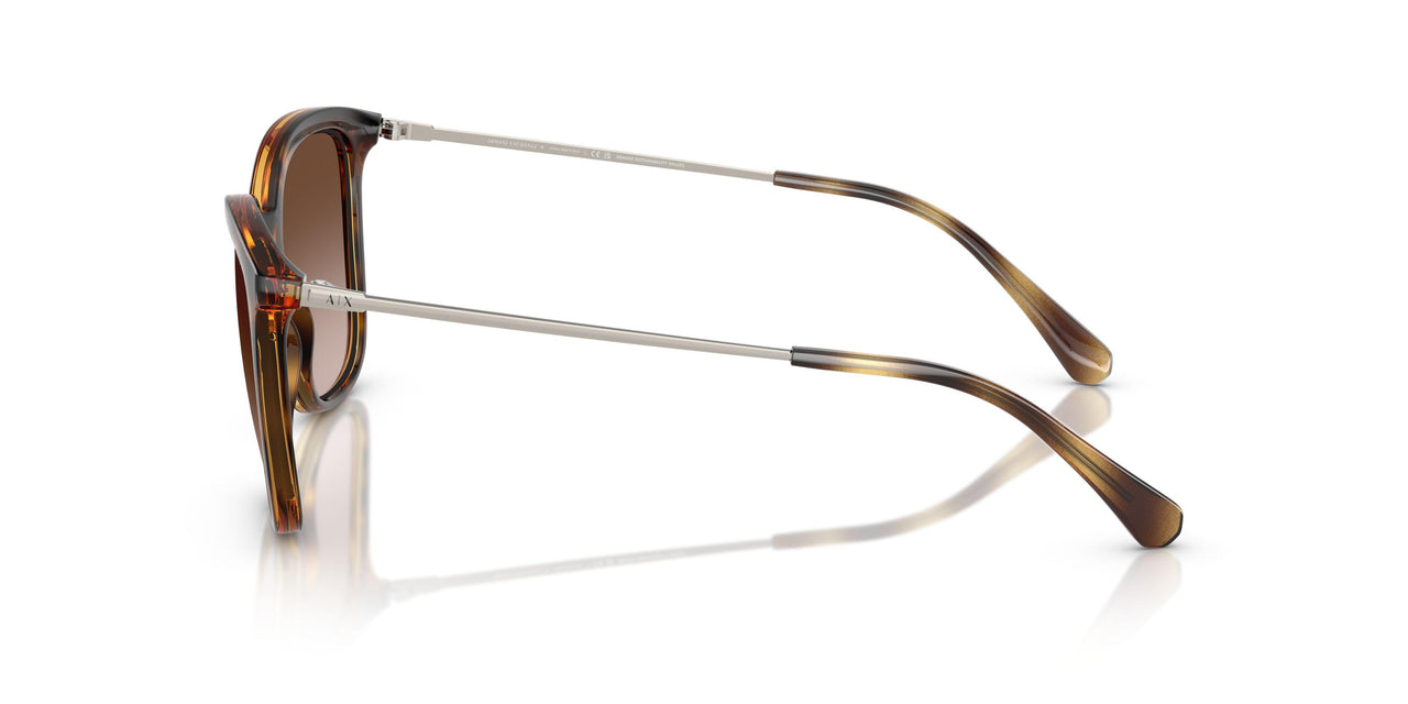 821313 - Tortoise - Brown Gradient Dark Brown