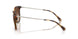821313 - Tortoise - Brown Gradient Dark Brown