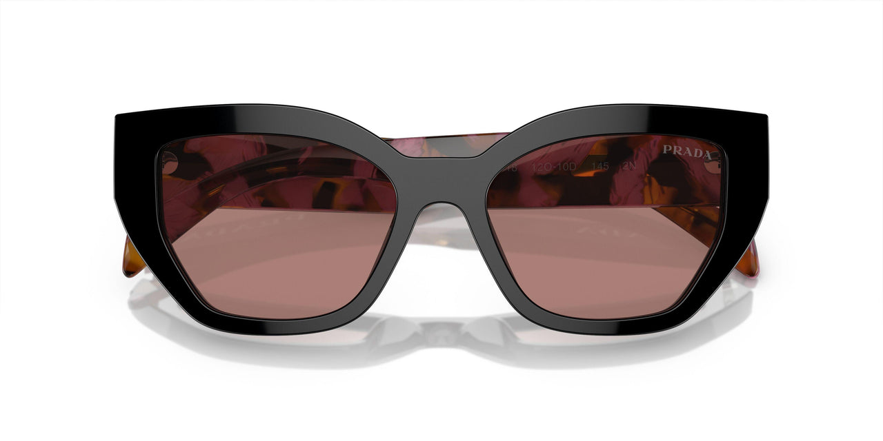 12O10D - Violet - Light Brown