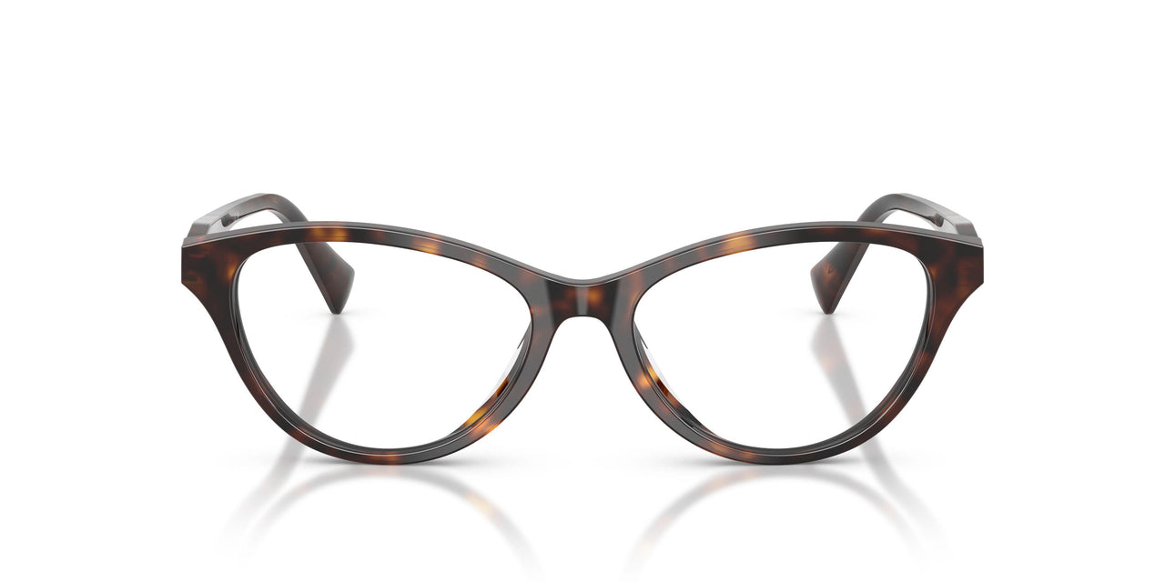 5003 - Brown