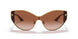 100213 - Gold - Brown Gradient