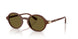329673 - Brown - Dark Brown