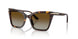 5026T5 - Tortoise - Brown Gradient Polarized