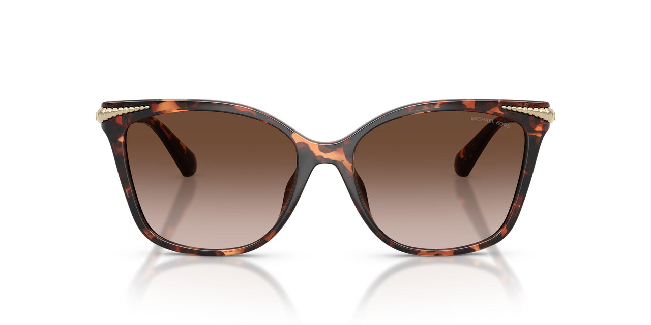 403113 - Tortoise - Brown Gradient