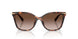 403113 - Tortoise - Brown Gradient