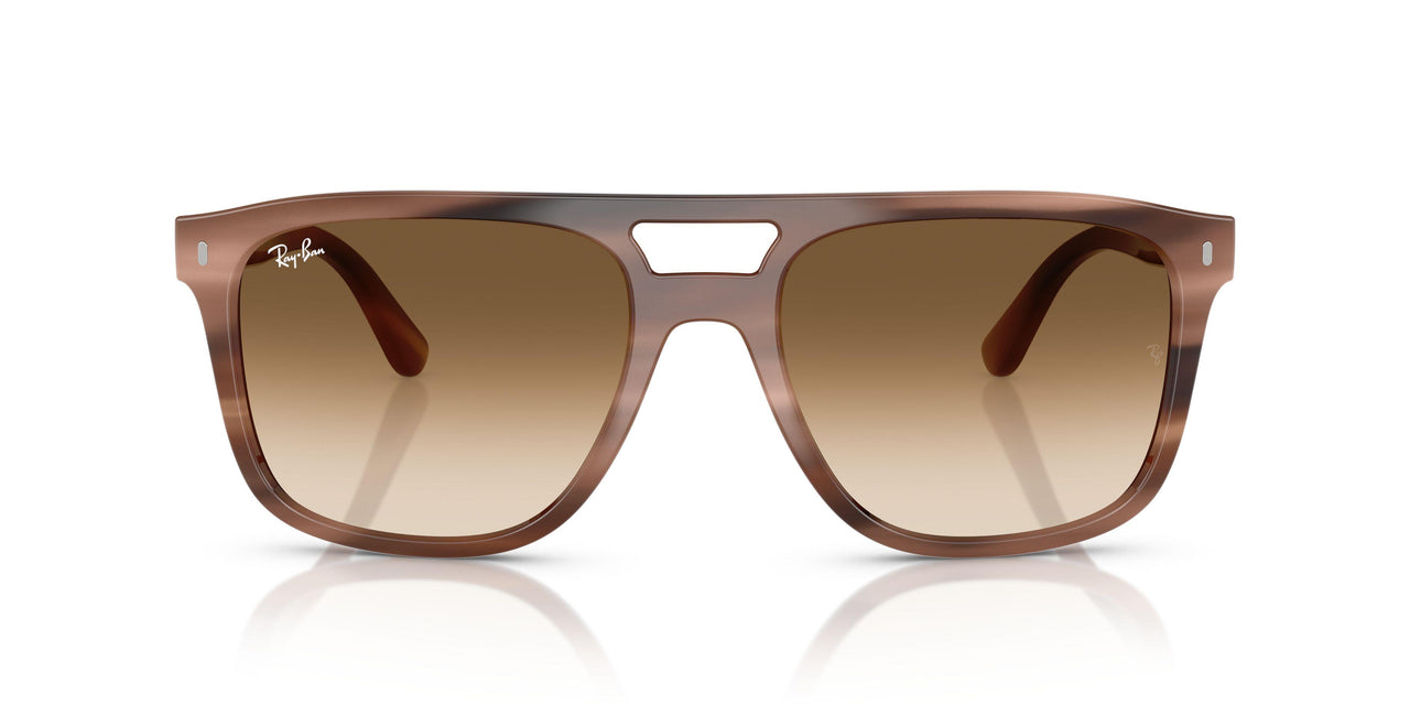 142351 - Tortoise - Clear Gradient Brown