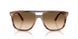 142351 - Tortoise - Clear Gradient Brown