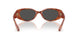 577487 - Tortoise - Grey Solid