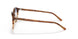 1328GD - Havana - Clear Grad Blue Grad Brown