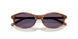 25O70W - Brown - Violet