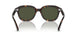902/31 - Tortoise - Green