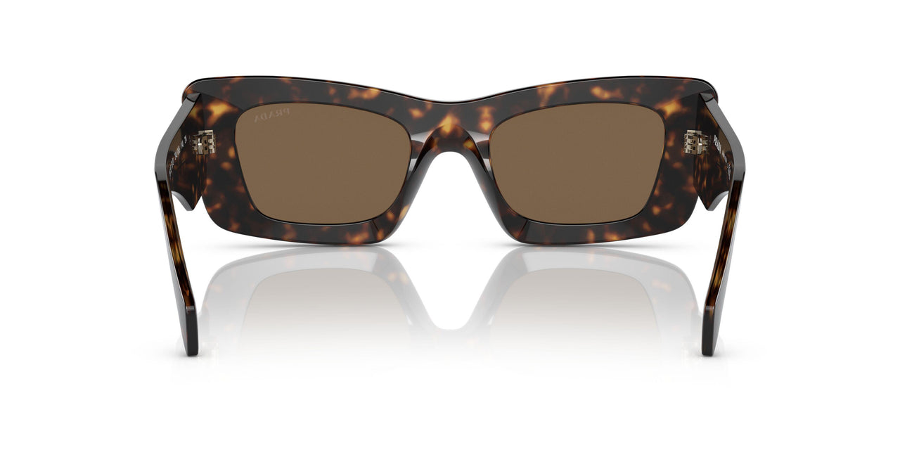 2AU06B - Havana - Dark Brown