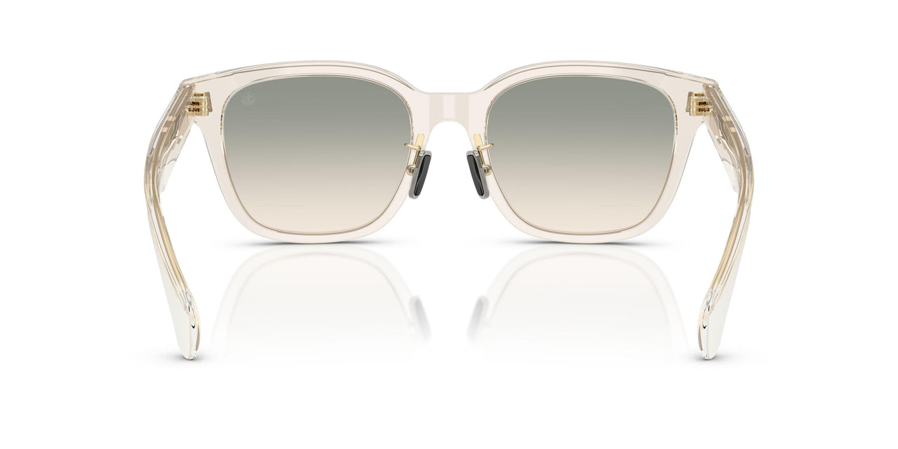 30032C - White - Light Brown Grad Light Green