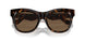 300273 - Brown - Dark Brown