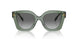 194111 - Green - Light Grey Gradient Dark Grey