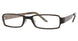 024 - Tortoise Olive