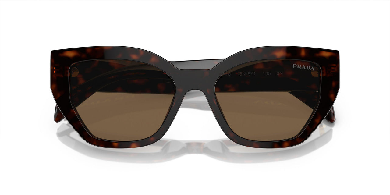16N5Y1 - Brown - Dark Brown Polar