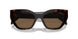 16N5Y1 - Brown - Dark Brown Polar
