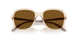 299083 - Brown - Dark Brown Polar