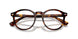 613771 - Tortoise - Bottle Green