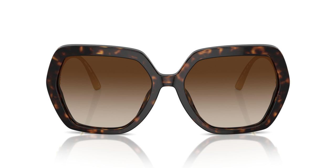502/13 - Tortoise - Gradient Brown