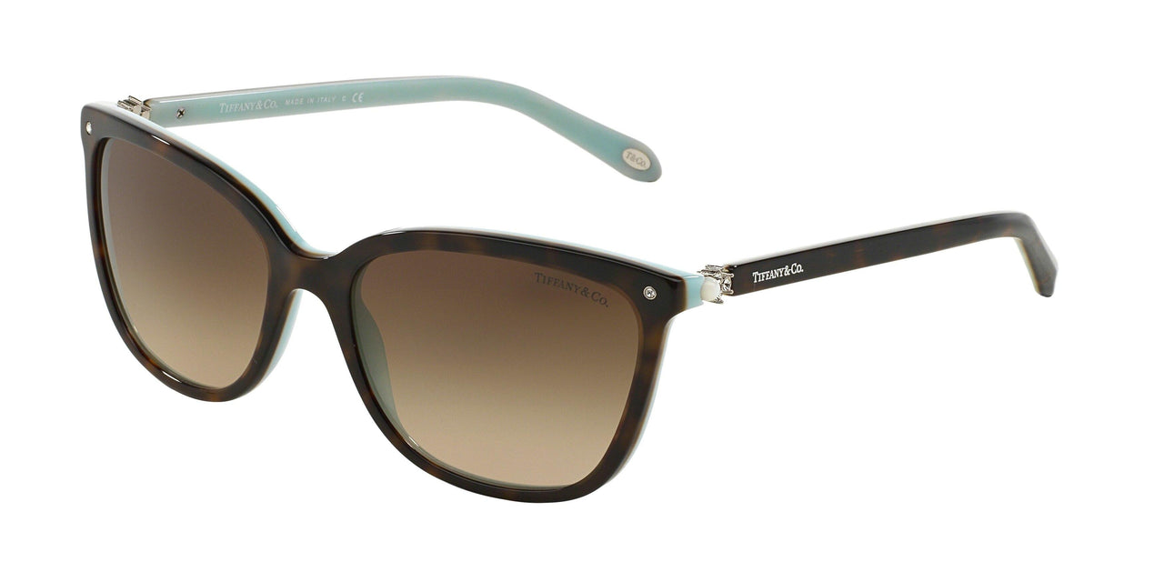 81343B - Havana - Brown Gradient