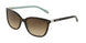 81343B - Havana - Brown Gradient