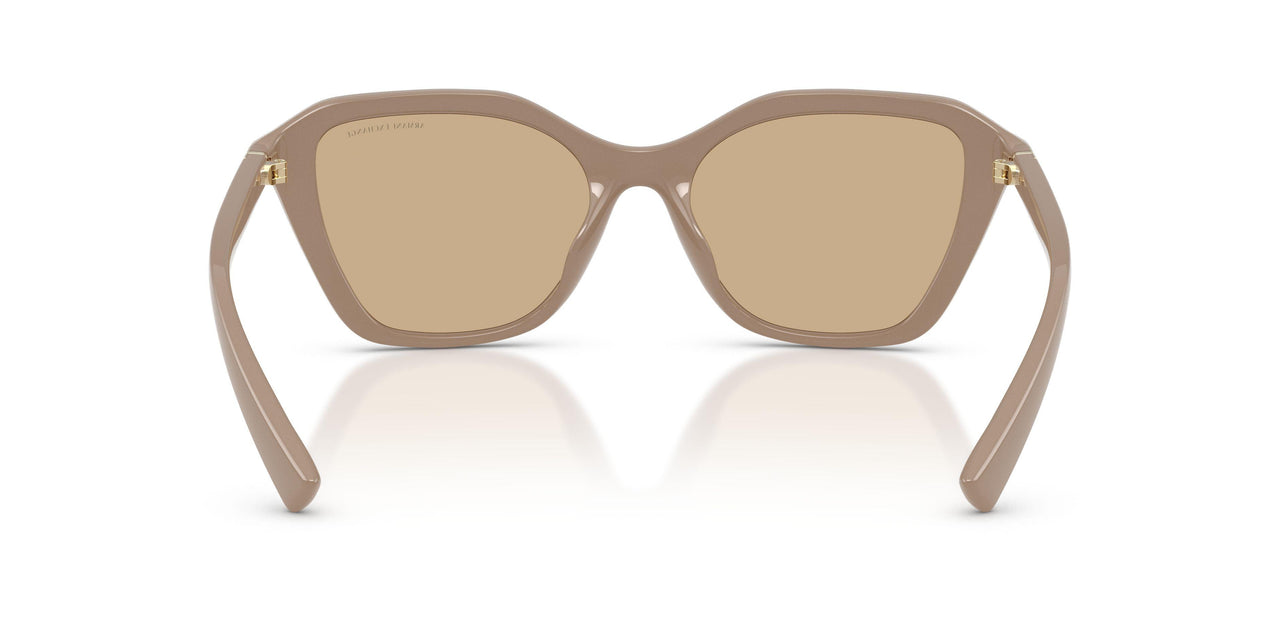 841573 - Brown - Dark Brown