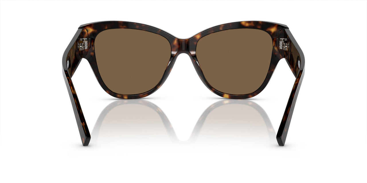 502/73 - Tortoise - Dark Brown