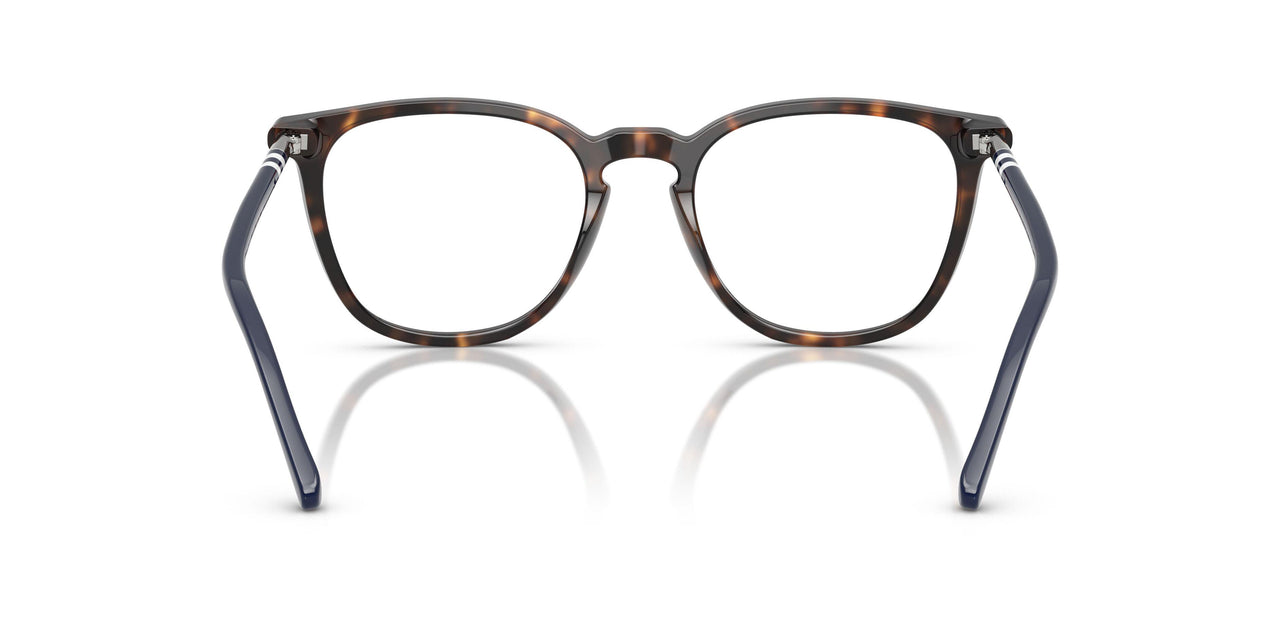 5003 - Tortoise
