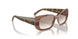 307113 - Brown Horn - Clear Gradient Brown