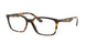 Ray-Ban 7176 Eyeglasses