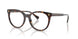5003 - Tortoise