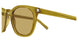 053 - Green - Brown