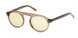 ABERCROMBIE & FITCH 00046 Sunglasses
