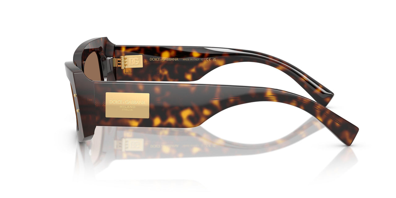 502/73 - Tortoise - Dark Brown