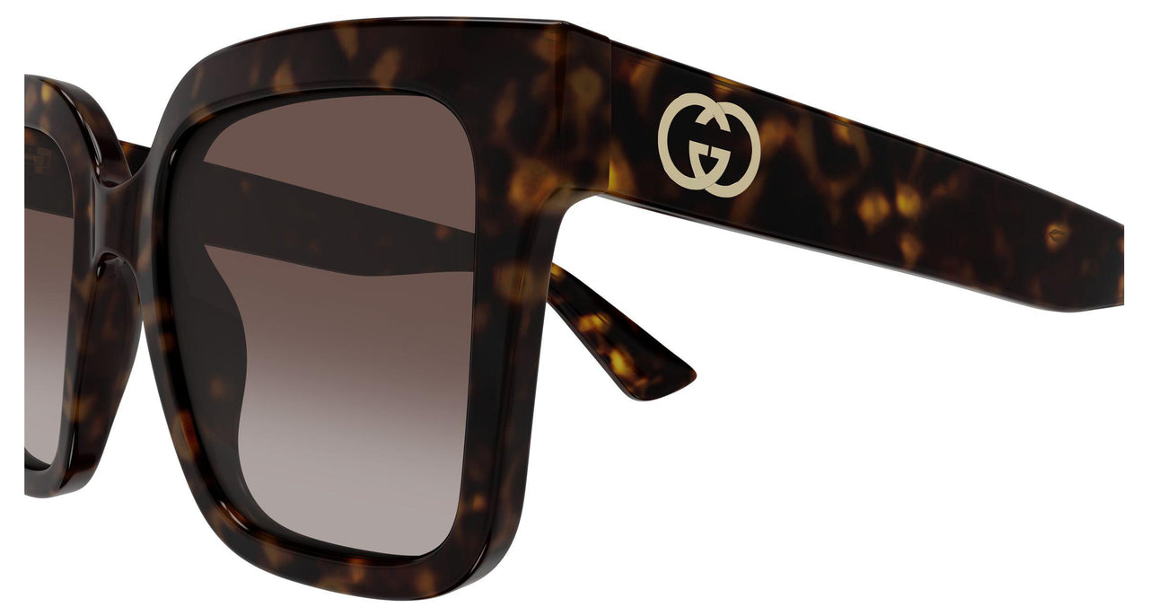002 - Havana - Brown