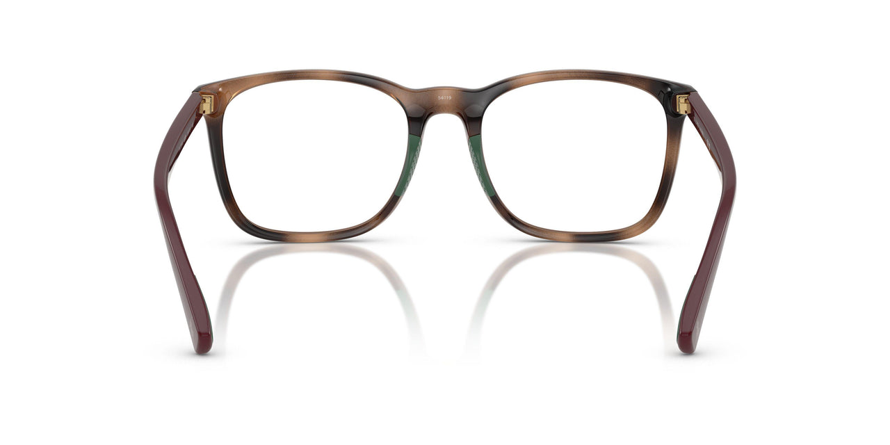 6208 - Tortoise