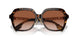 300213 - Brown - Brown Gradient