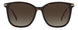 0086-HA - HAVANA - Brown Gradient