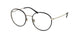 Polo 1210 Eyeglasses