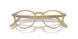 1169 - Brown - Clear