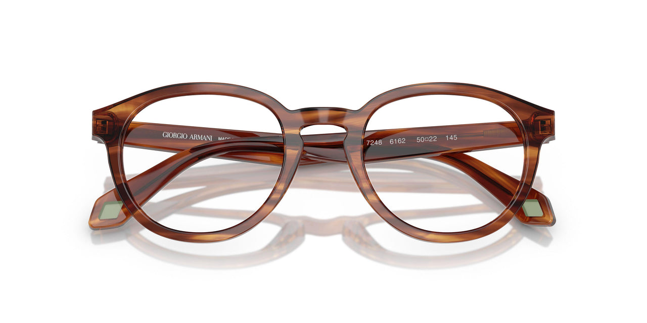 6162 - Tortoise